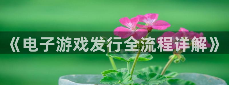 db电竞集团公司怎么样：《电子游戏发行全流程详解》