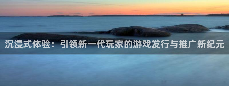 db电竞干红葡萄酒750毫升多少钱：沉浸式体验：引领新一代玩家的游戏发行与推广新纪元