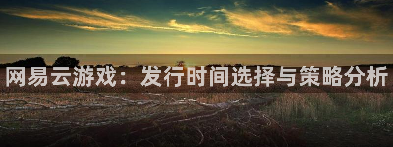 db电竞智邦(北京)品牌策划有限公司：网易云游戏：发行时间选择与策略分析