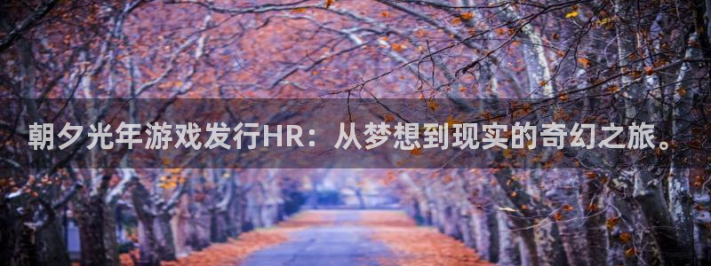 db电竞子经理人：朝夕光年游戏发行HR：从梦想到现实的奇幻之旅。