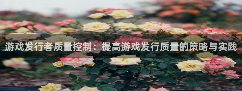 广东db电竞电子商务有限公司：游戏发行者质量控制：提高游戏发行质量的策略与实践