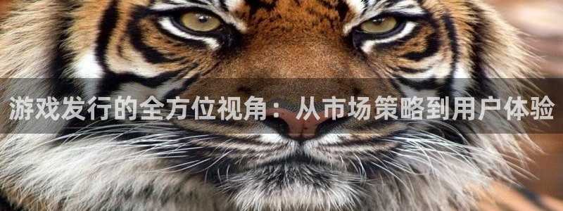 南京db电竞子电子商务有限公司：游戏发行的全方位视角：从市场策略到用户体验