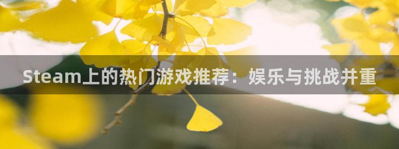 广东db电竞电子商务有限公司：Steam上的热门游戏推荐：娱乐与挑战并重