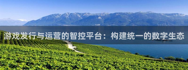 db电竞子小说：游戏发行与运营的智控平台：构建统一的数字生态