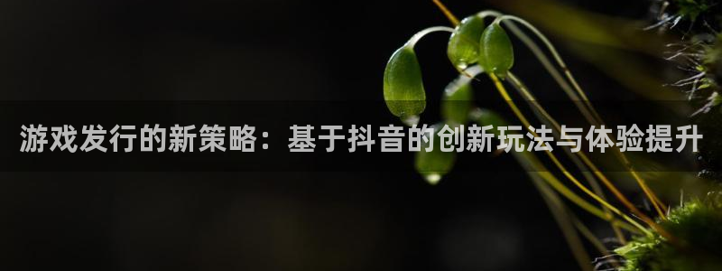 db电竞子文化