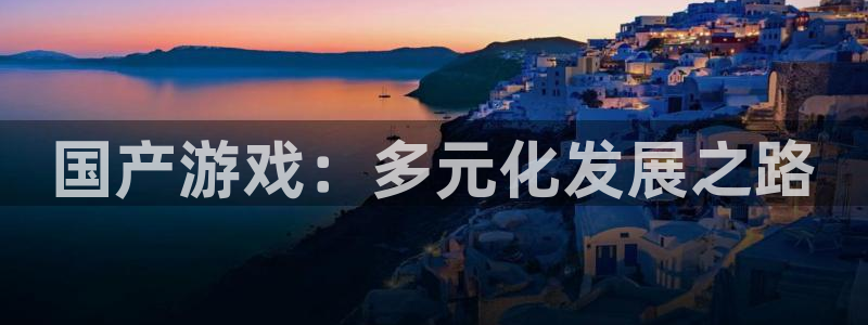 db电竞官网注册方法是什么意思：国产游戏：多元化发展之路