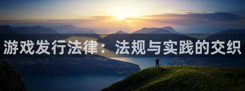 db电竞官网注册地址在哪里：游戏发行法律：法规与实践的交织