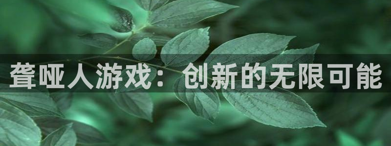 db电竞官网登录注册失败：聋哑人游戏：创新的无限可能