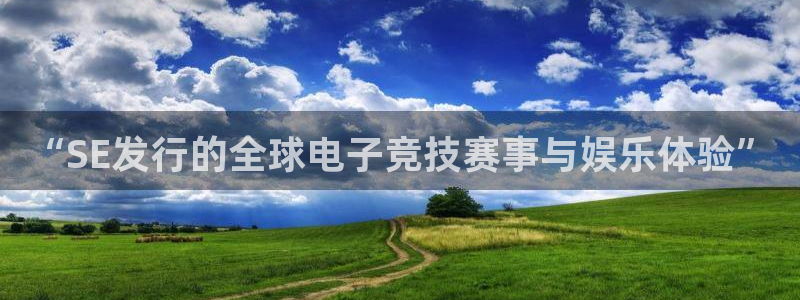 db电竞子经理人读后感：“SE发行的全球电子竞技赛事与娱乐体验”