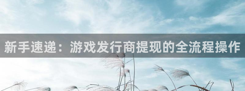 db电竞官网注册平台官网登录：新手速递：游戏发行商提现的全流程操作