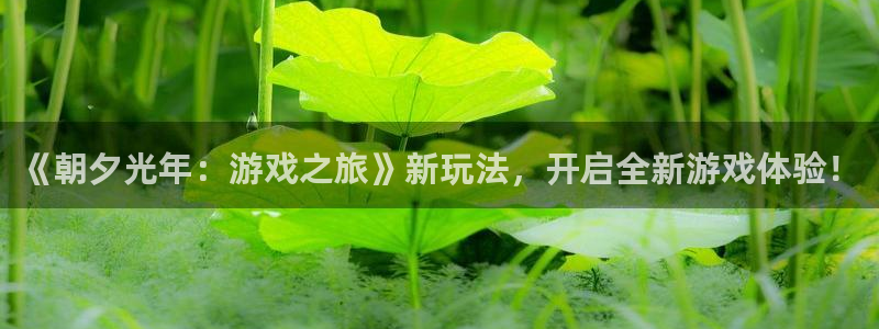 db电竞仓储中心