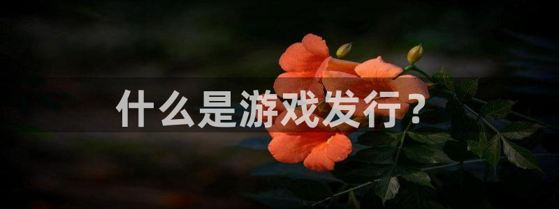 db电竞品牌顾问有限公司