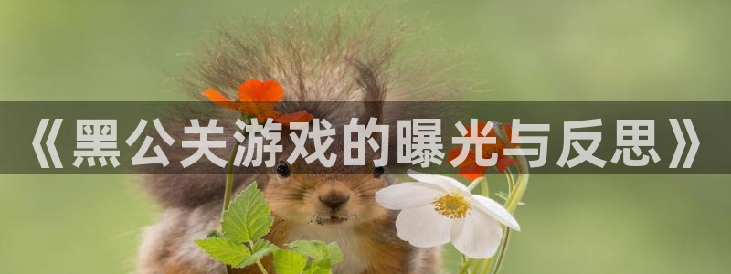 db电竞子文化是什么