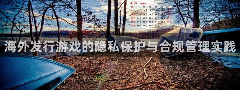 db电竞官网注册地址在哪里查询：海外发行游戏的隐私保护与合规管理实践