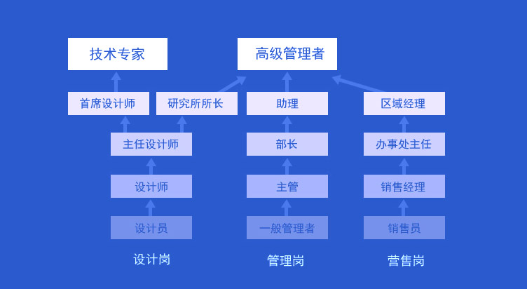 多条职业发展通路
